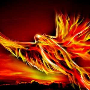 phoenix: back